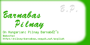 barnabas pilnay business card